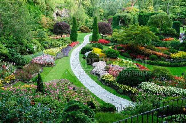 Сады, парки 103644