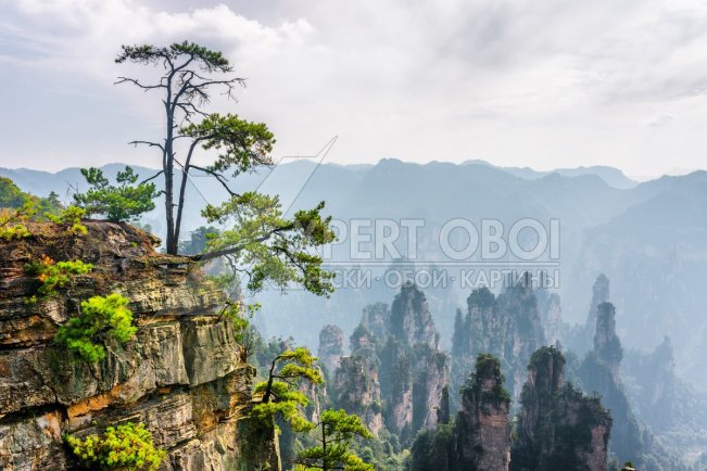 Горы 103448