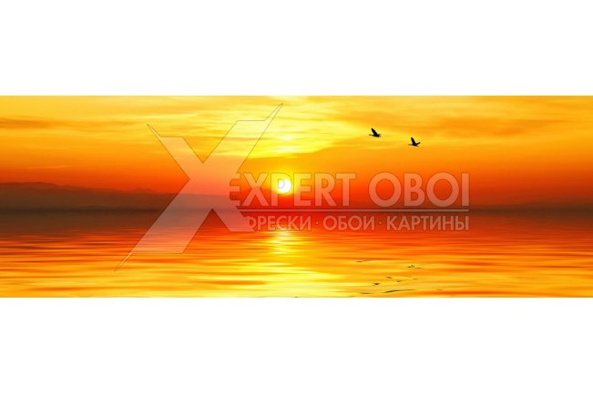 Моря и пляжи 102721