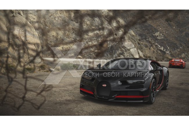 Автомобили 104474