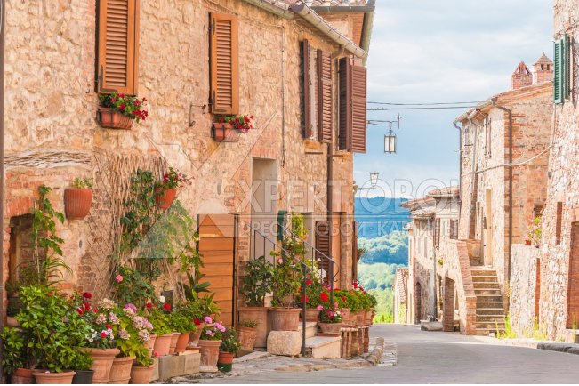 Улочки и дворики 103970