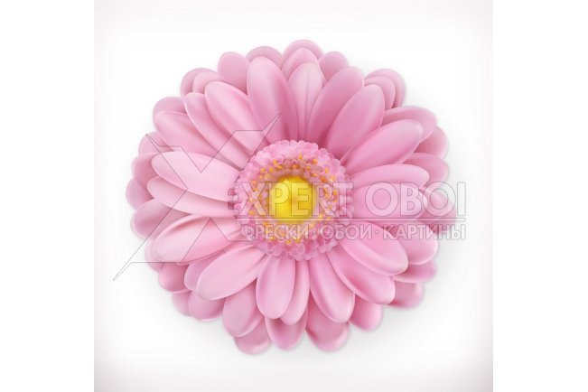 3d 100274