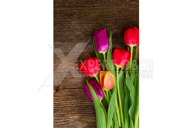 Тюльпаны 104358