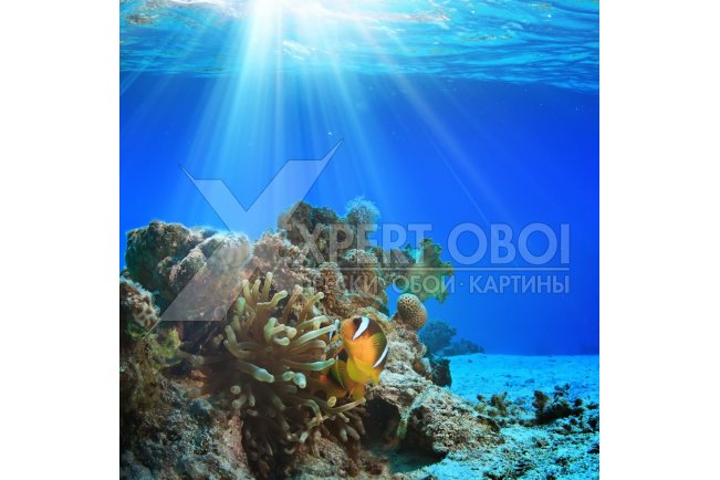 Моря и пляжи 102654